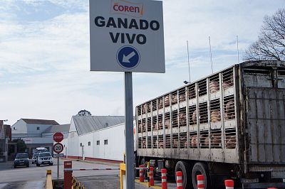 2016 03 17 FolgaServicarneFrigolouro14.JPG